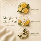 Concentrado de Perfume Mangue & Citron – Esteban Paris Parfums