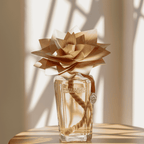 Bouquet Flor Ambre Précieux 500 ml – Durance - Maison Calma