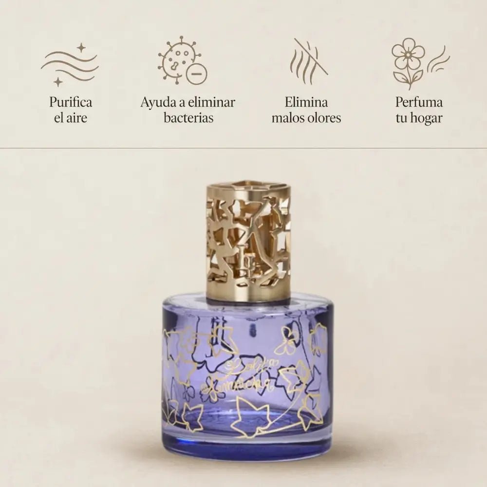 Cofre Lámpara Catalítica Pure Lolita Lempicka Parme – Maison Berger Paris - Maison Calma