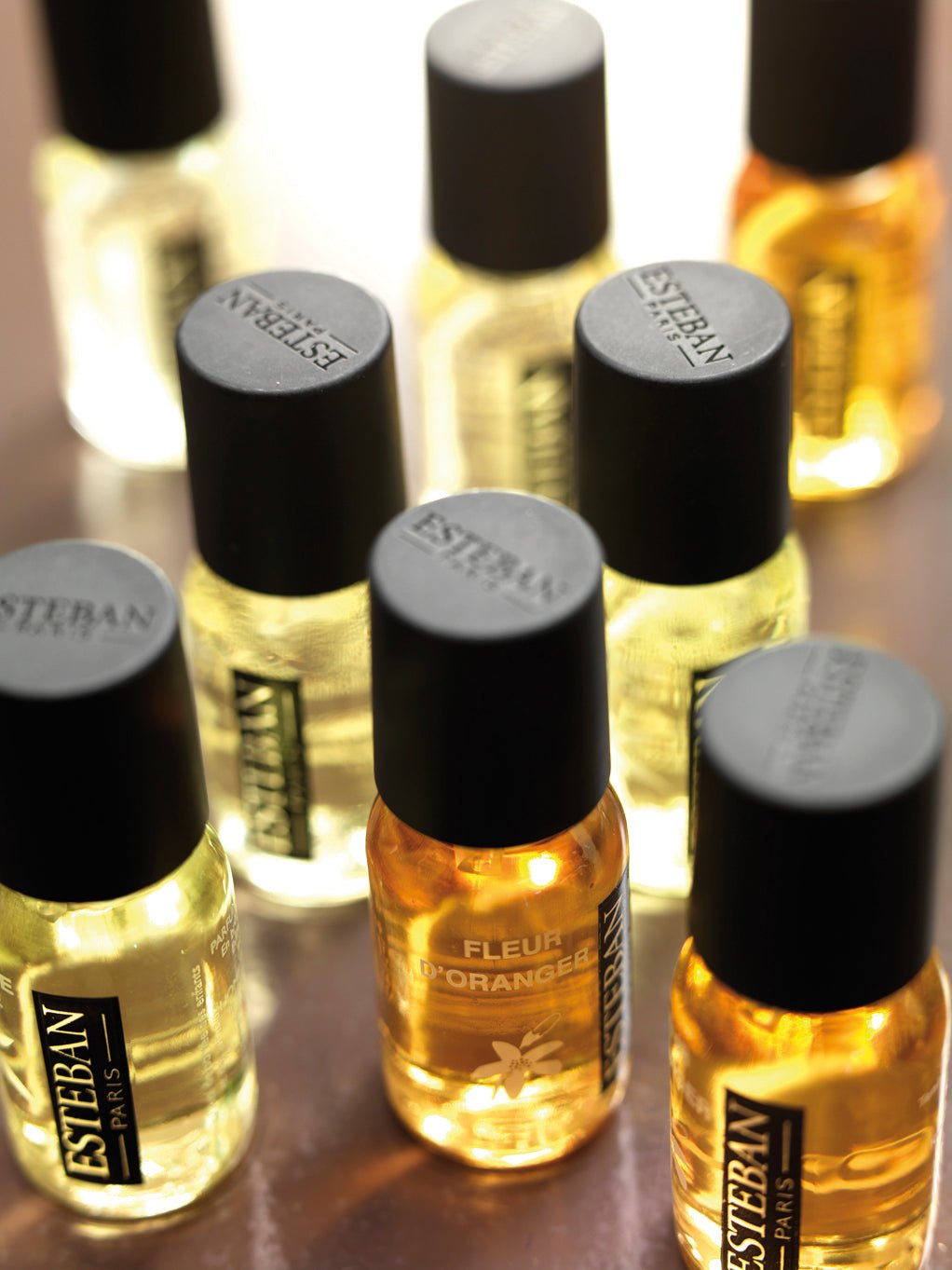 Concentrado de Perfume Teck & Tonka – Esteban Paris Parfums - Maison Calma