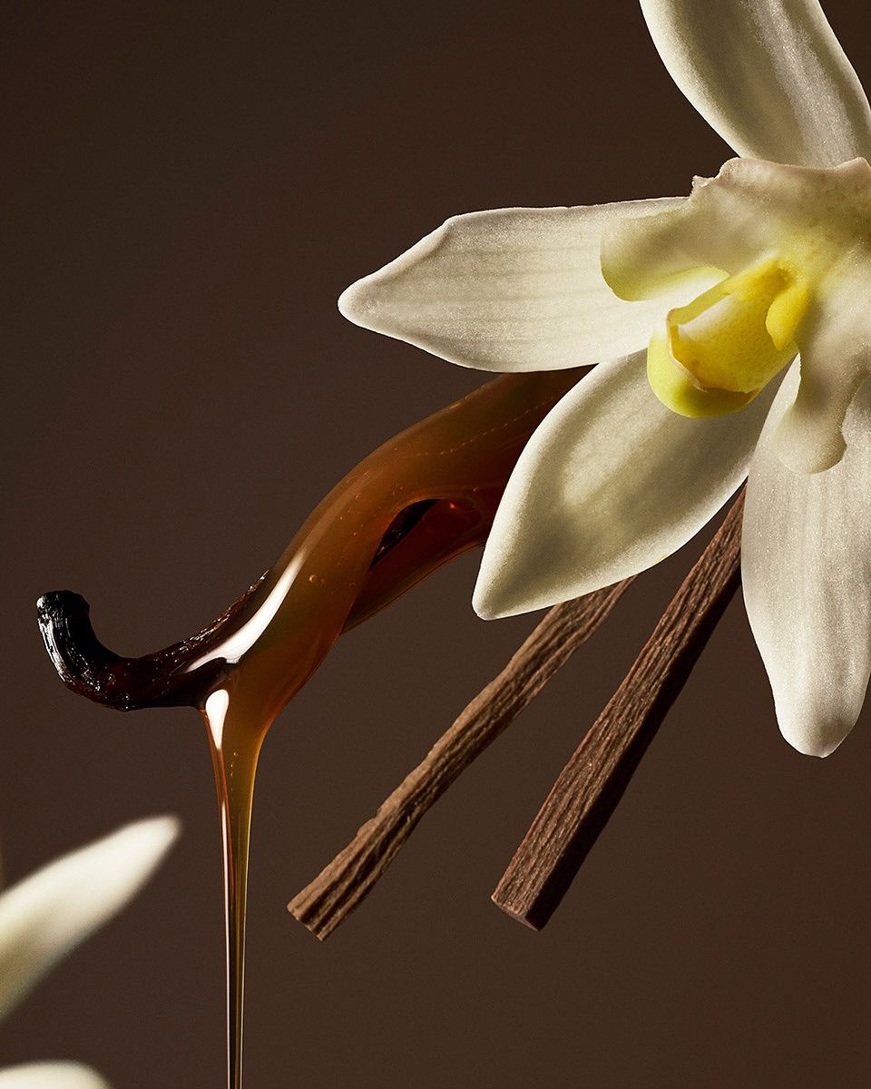 Concentrado de Perfume Vanille d’Or – Esteban Paris Parfums - Maison Calma