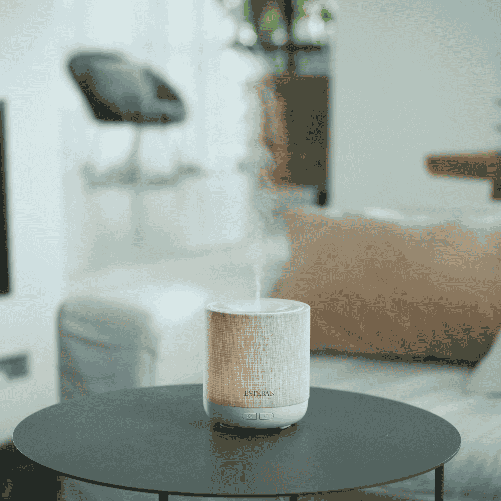 Difusor de Aromas Easy Living Edition – Esteban Paris Parfums - Maison Calma