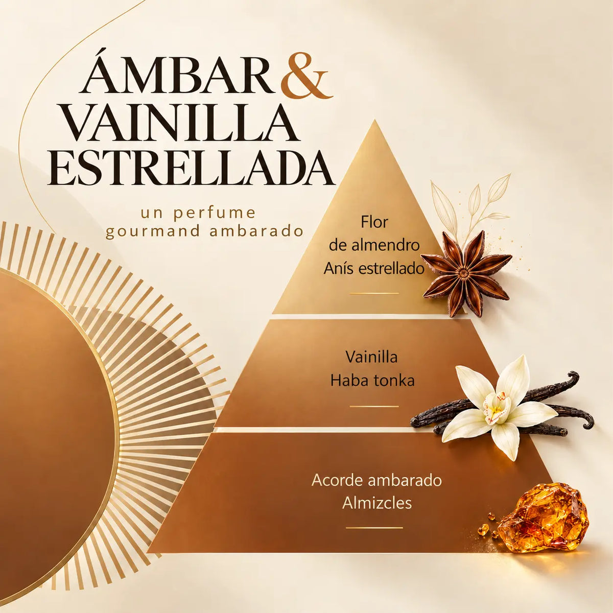 Recambio de Mikado Ambre &amp; Vanille Étoilée 250 ml – Esteban Paris