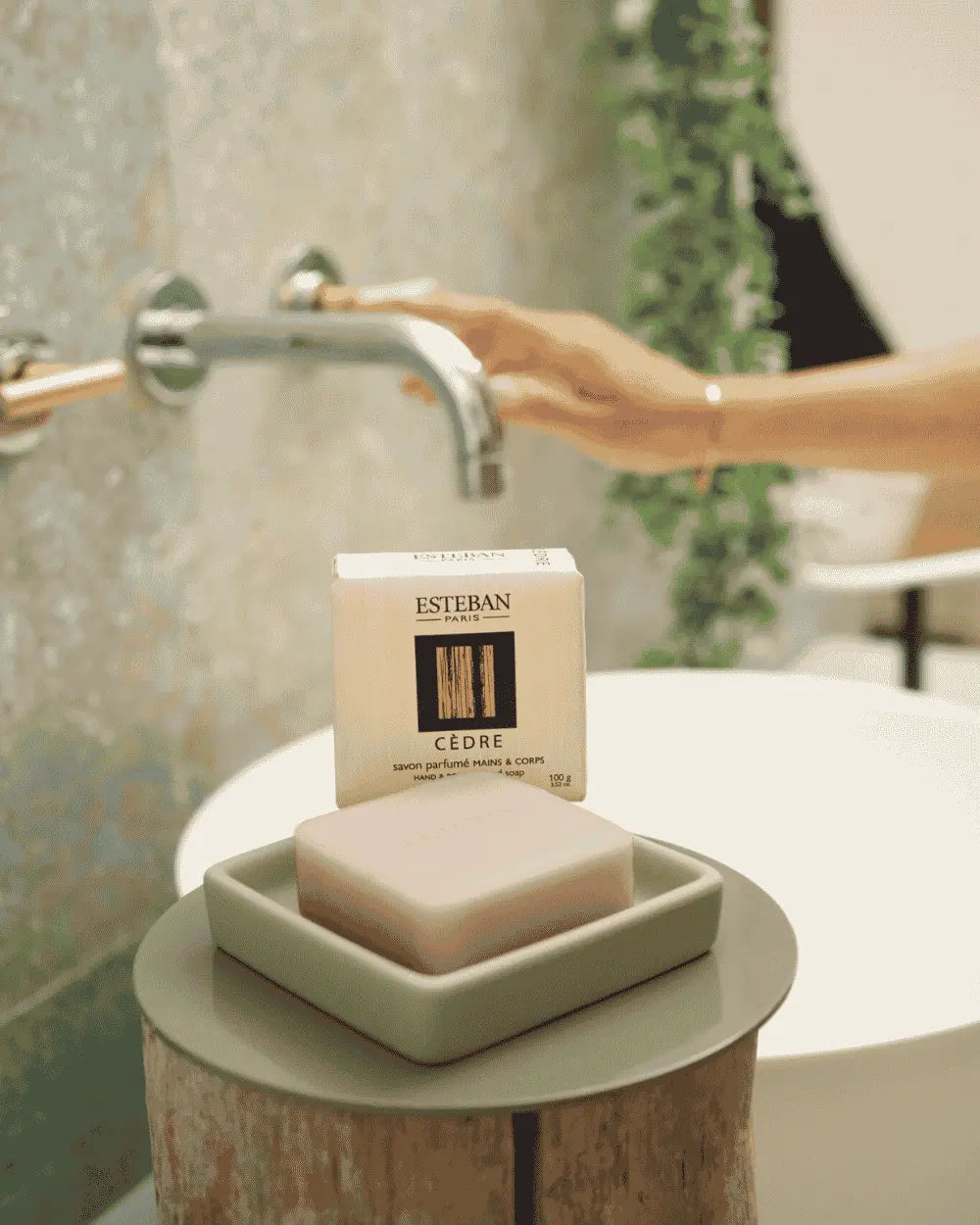 Cèdre – Jabón natural perfumado