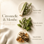 Lanterne Vert – Difusor de Aromas Inalámbrico - Esteban Paris - Maison Calma