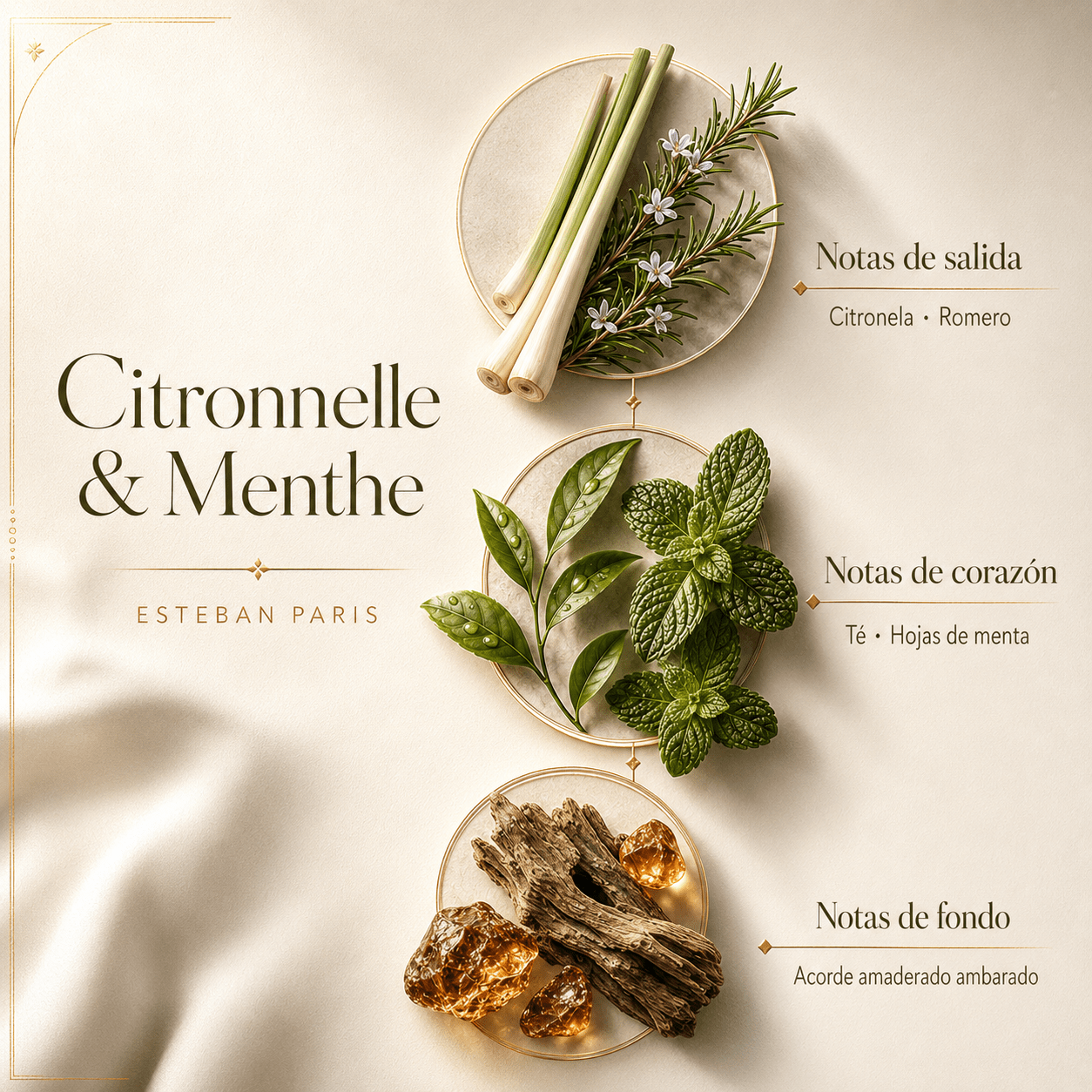 Lanterne Vert – Difusor de Aromas Inalámbrico - Esteban Paris - Maison Calma