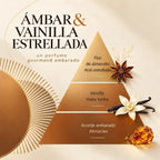 Mikado Ambre & Vanille Étoilée 200 ml – Esteban Paris - Maison Calma