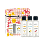 Triopack Estivale – Líquido para lámpara catalítica - Maison Berger - Maison Calma