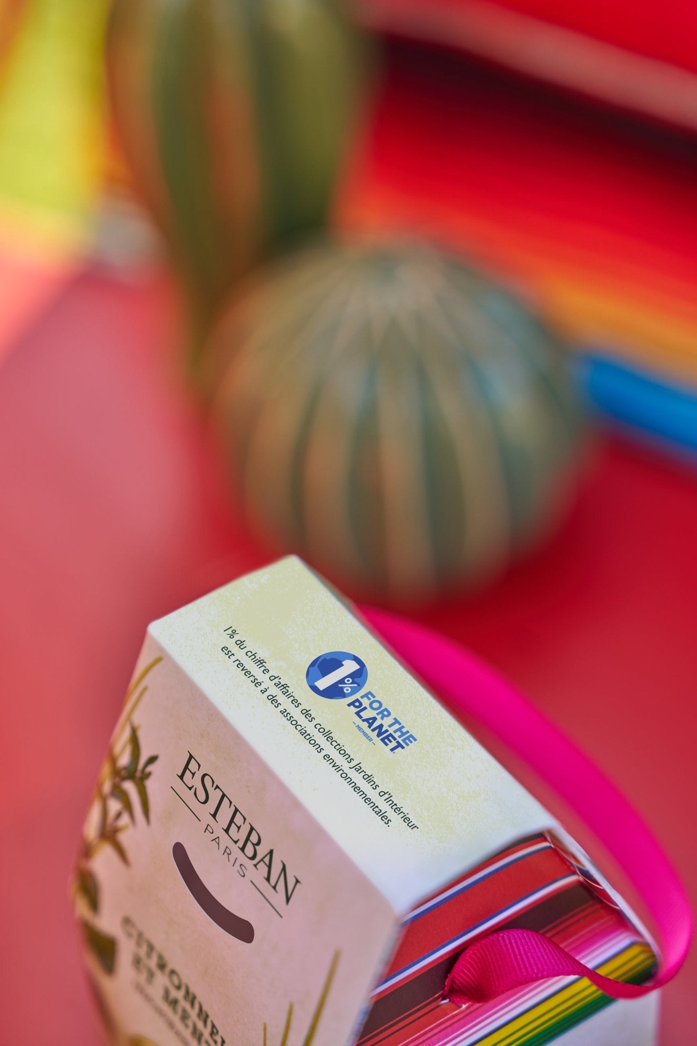 Vela Perfumada Citronela y Menta– Esteban Paris Parfums - Maison Calma