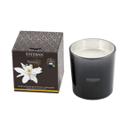 Vela Perfumada Néroli 450 g – Esteban Paris Parfums - Maison Calma