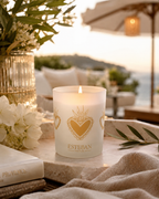 Vela Perfumada Citronela y Menta– Esteban Paris Parfums